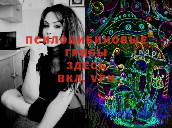 дурь Балахна