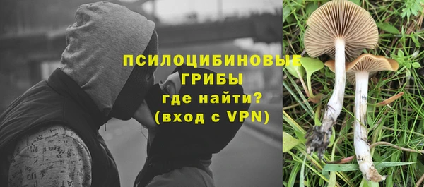 дурь Балахна